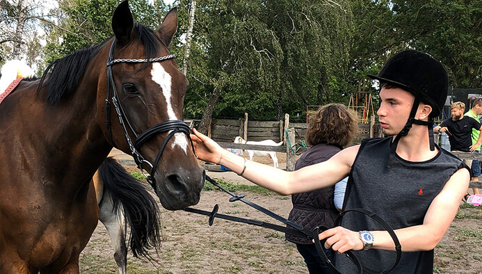 reitcamp liezen: pferde & abenteuer hautnah erleben