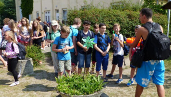 sommerferienlager insel usedom