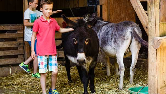 reitferien in baden württemberg für kids & teens