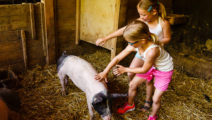 reitferien in baden württemberg für kids & teens