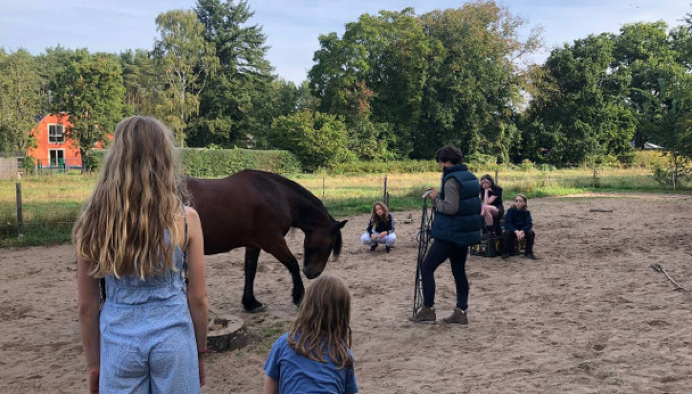 sommer pferdeferien in potsdam