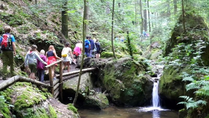 kids abenteuer & actioncamp in der sächsischen schweiz