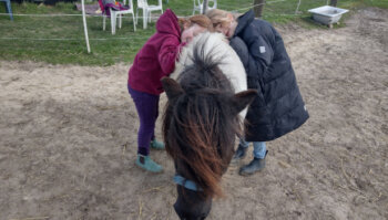 winter reitferien camp in paretz