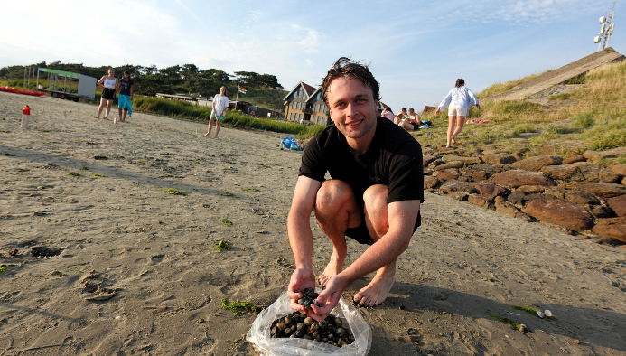 niederlande segeltörn das wattenmeer & westfriesische inseln