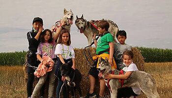 huskycamp in der lüneburger heide