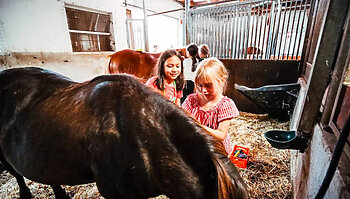 reitcamp in der lüneburger heide