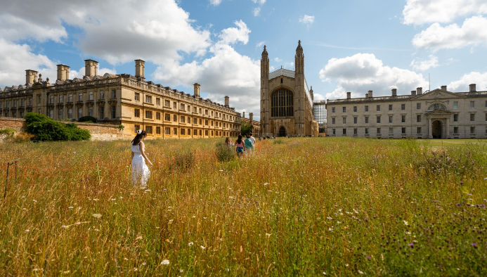 international summer school cambridge