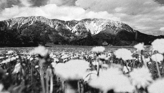 bikecamp am schneeberg